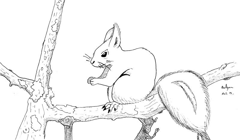 ecureuil_02